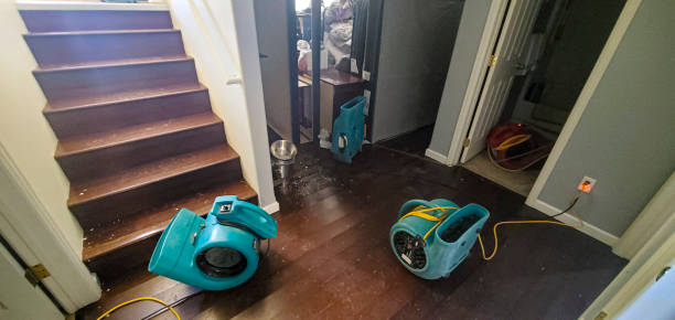 Best Water damage cleanup near me  in Emah, OK