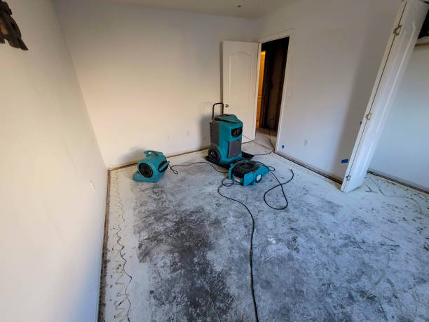 Best Water damage contractors near me  in Emah, OK