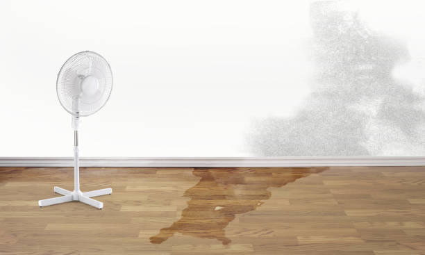 Best Water damage restoration process  in Emah, OK