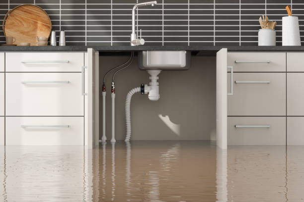 Best Basement water damage restoration  in Emah, OK